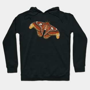 Atlas Moth Hoodie